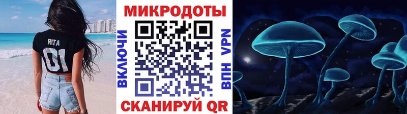 Галлюциногенные грибы Psilocybe  даркнет сайт  Щучье 